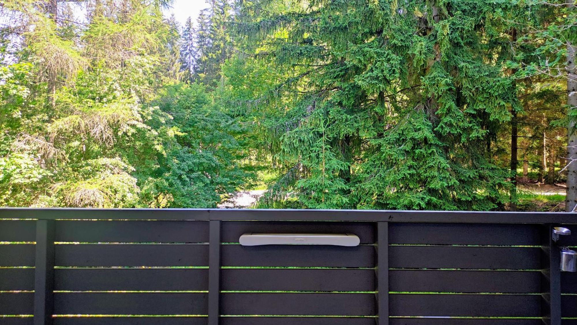 Horsky Rodinny Apartman: Mountain Family Retreat With Wellness & Terrace Harrachov