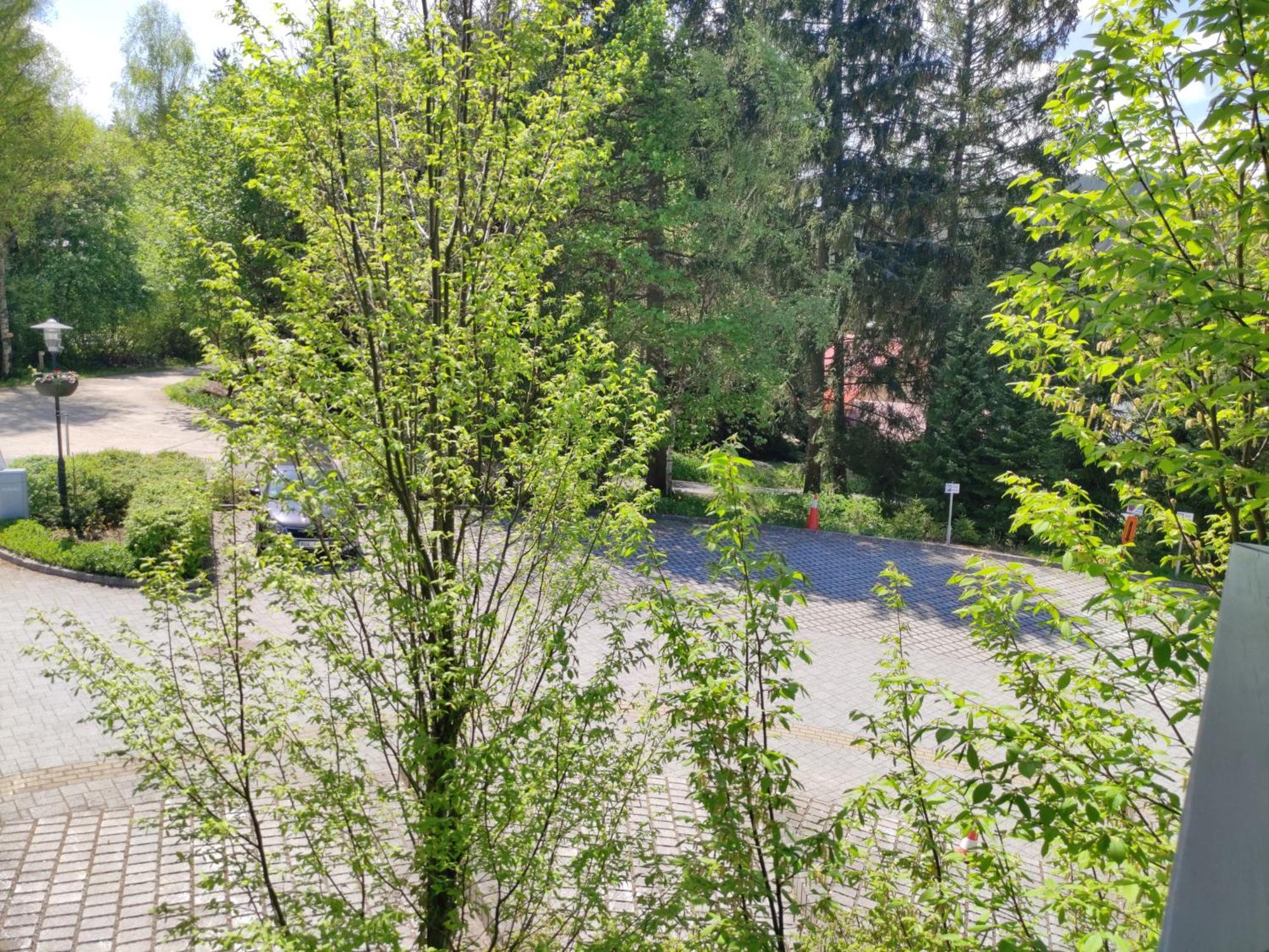 Horsky Rodinny Apartman: Mountain Family Retreat With Wellness & Terrace *