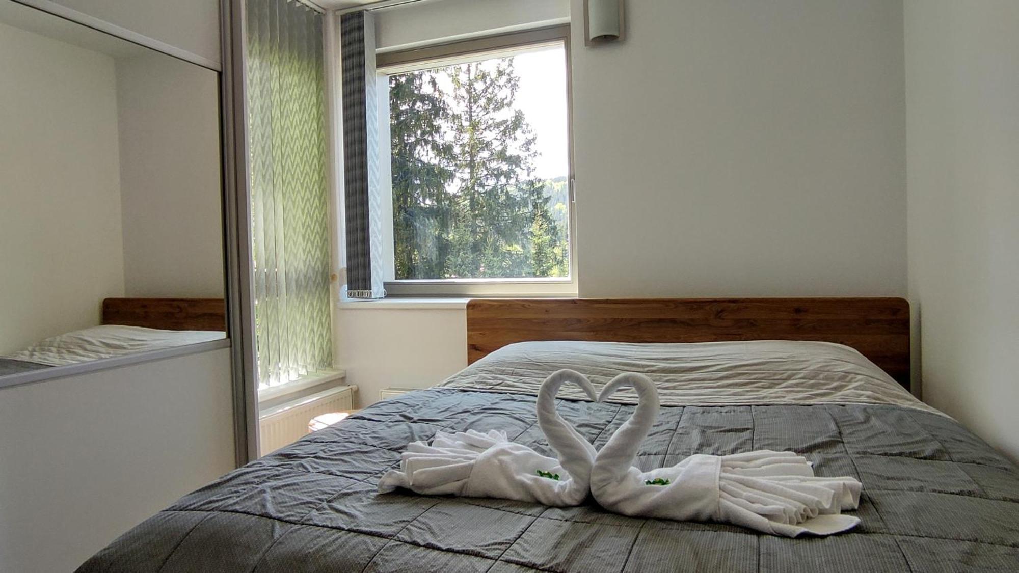 Apartmán Horsky Rodinny Apartman: Mountain Family Retreat With Wellness & Terrace Harrachov