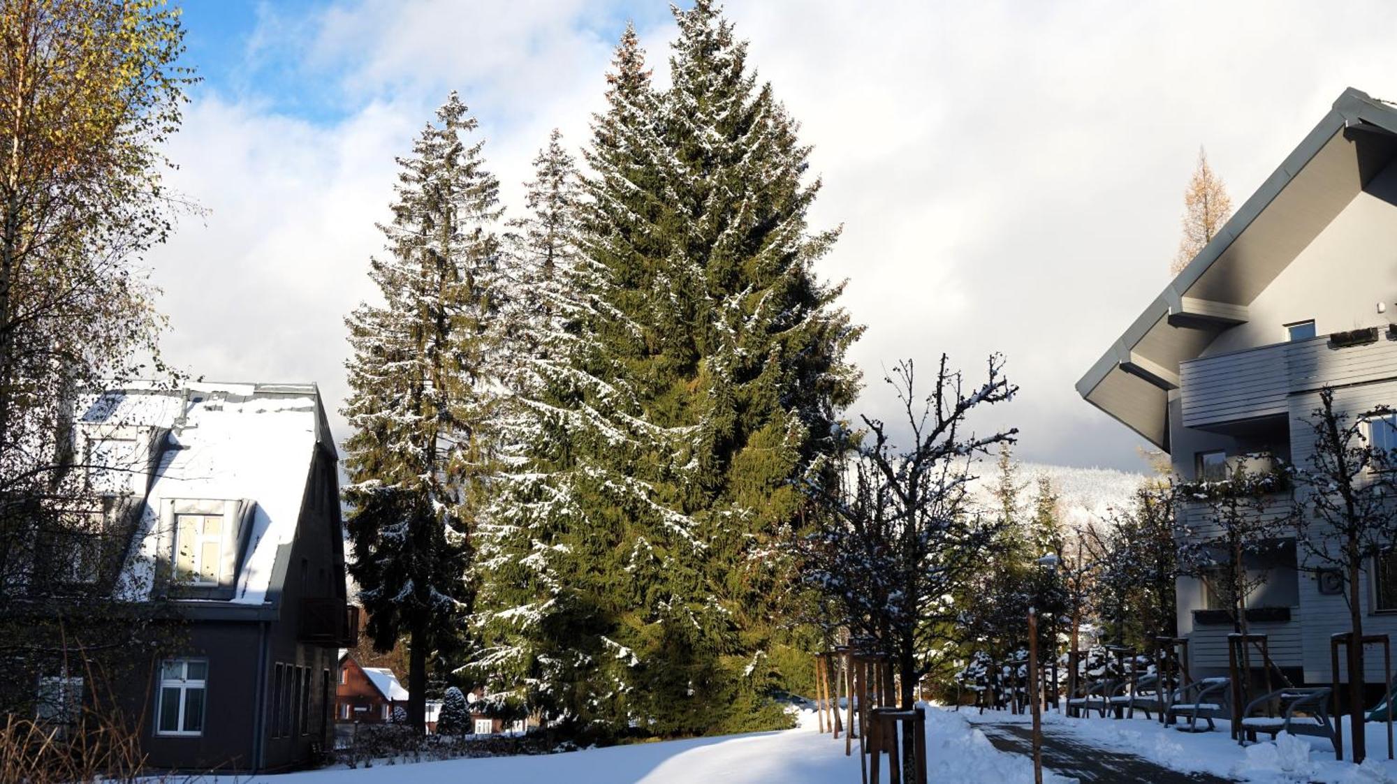 Apartment Horsky Rodinny Apartman: Mountain Family Retreat With Wellness & Terrace