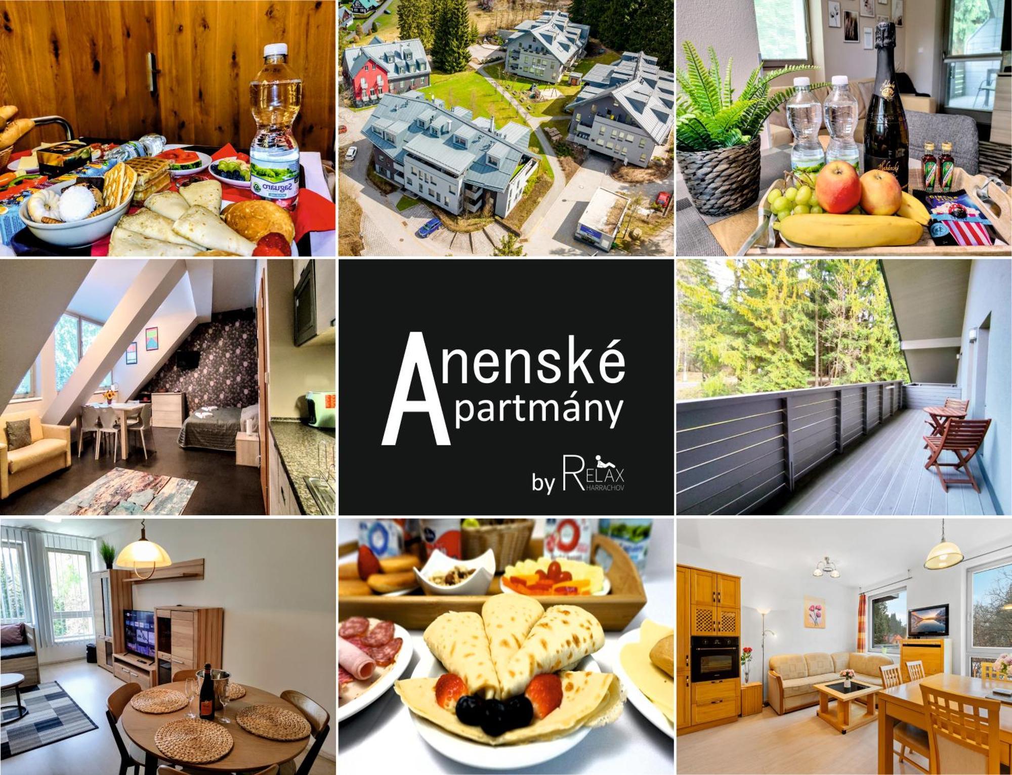 Horsky Rodinny Apartman: Mountain Family Retreat With Wellness & Terrace Apartment Harrachov