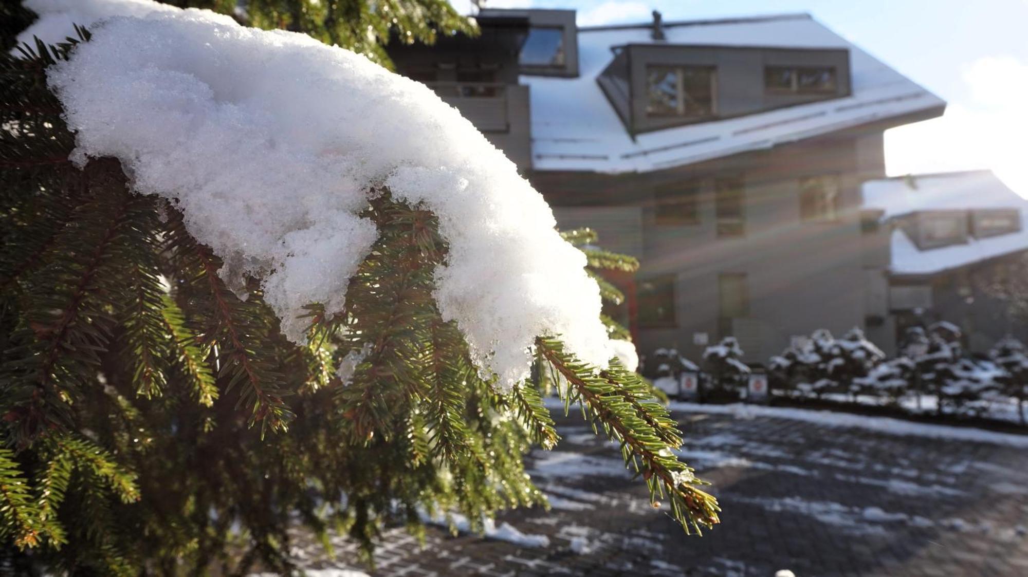 Horsky Rodinny Apartman: Mountain Family Retreat With Wellness & Terrace Harrachov